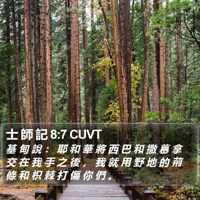 士 師 記 8:7 CUVT Bible Verse Image
