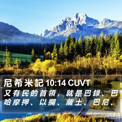 尼 希 米 記 10:14 CUVT Bible Verse Image