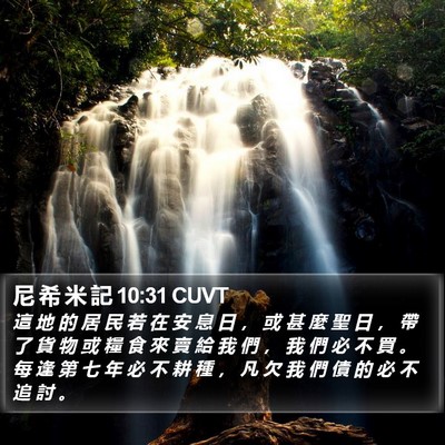 尼 希 米 記 10:31 CUVT Bible Verse Image