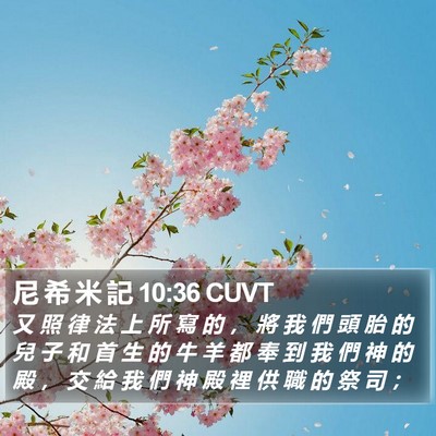尼 希 米 記 10:36 CUVT Bible Verse Image