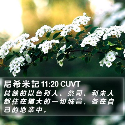 尼 希 米 記 11:20 CUVT Bible Verse Image