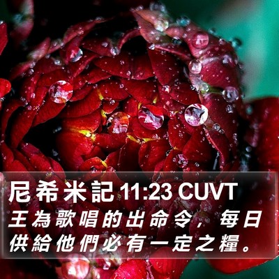 尼 希 米 記 11:23 CUVT Bible Verse Image