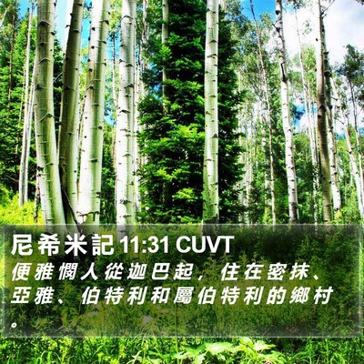 尼 希 米 記 11:31 CUVT Bible Verse Image