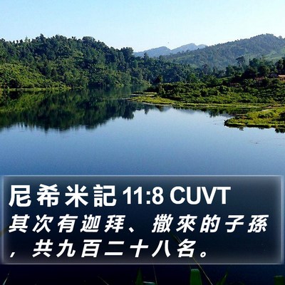尼 希 米 記 11:8 CUVT Bible Verse Image