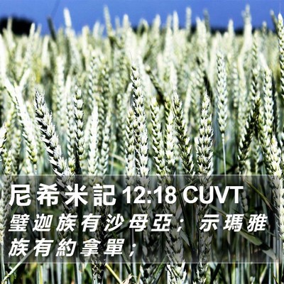 尼 希 米 記 12:18 CUVT Bible Verse Image