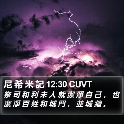 尼 希 米 記 12:30 CUVT Bible Verse Image