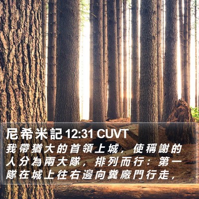 尼 希 米 記 12:31 CUVT Bible Verse Image