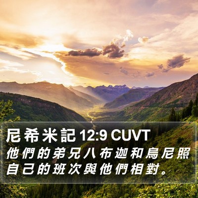 尼 希 米 記 12:9 CUVT Bible Verse Image