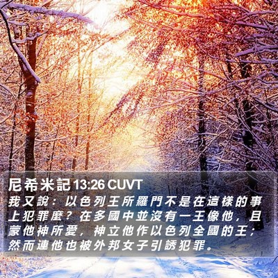 尼 希 米 記 13:26 CUVT Bible Verse Image