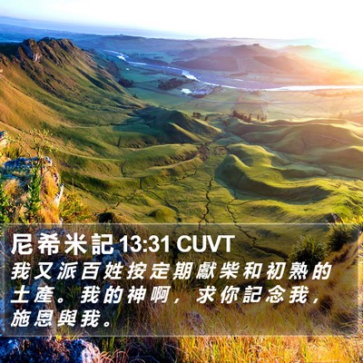 尼 希 米 記 13:31 CUVT Bible Verse Image