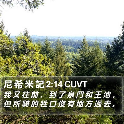 尼 希 米 記 2:14 CUVT Bible Verse Image