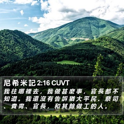 尼 希 米 記 2:16 CUVT Bible Verse Image