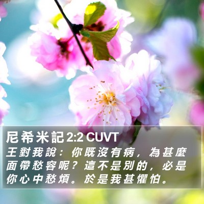 尼 希 米 記 2:2 CUVT Bible Verse Image