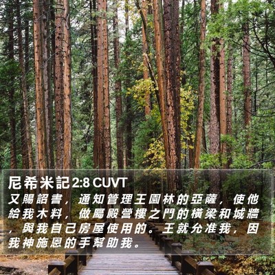 尼 希 米 記 2:8 CUVT Bible Verse Image