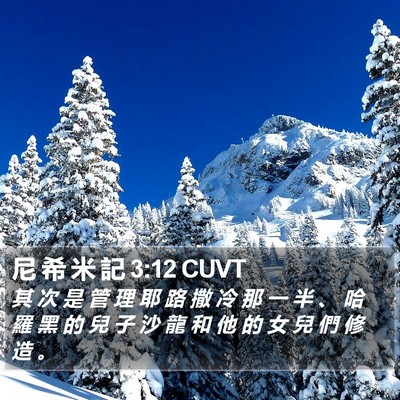 尼 希 米 記 3:12 CUVT Bible Verse Image