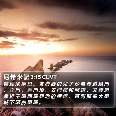 尼 希 米 記 3:15 CUVT Bible Verse Image