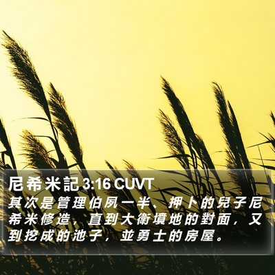 尼 希 米 記 3:16 CUVT Bible Verse Image