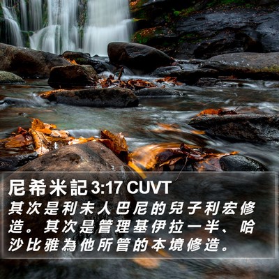 尼 希 米 記 3:17 CUVT Bible Verse Image