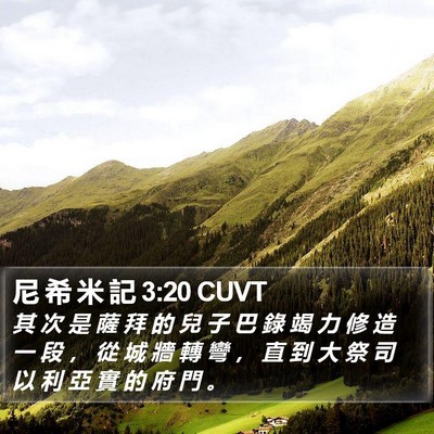 尼 希 米 記 3:20 CUVT Bible Verse Image