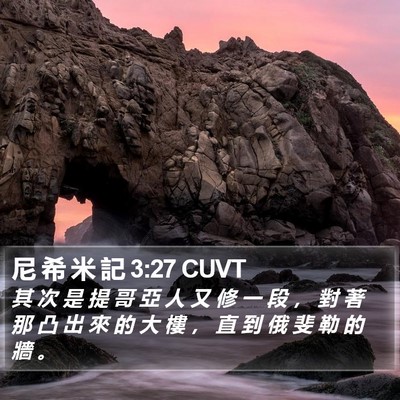 尼 希 米 記 3:27 CUVT Bible Verse Image