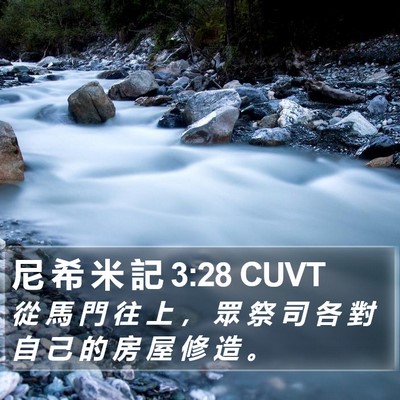 尼 希 米 記 3:28 CUVT Bible Verse Image