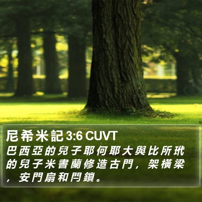 尼 希 米 記 3:6 CUVT Bible Verse Image