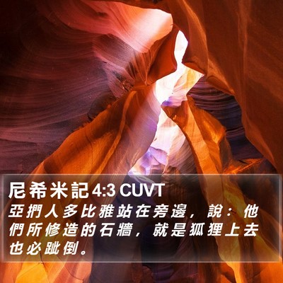 尼 希 米 記 4:3 CUVT Bible Verse Image