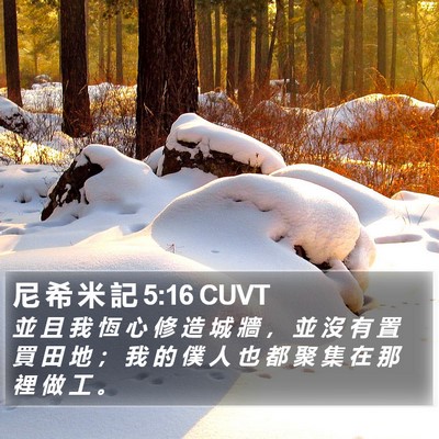 尼 希 米 記 5:16 CUVT Bible Verse Image