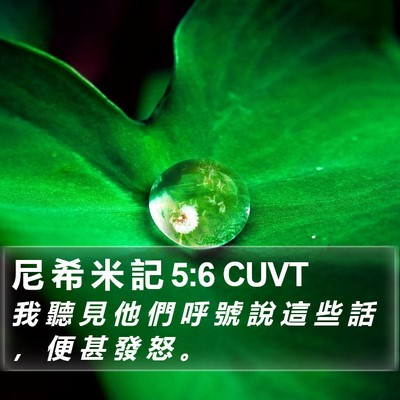 尼 希 米 記 5:6 CUVT Bible Verse Image