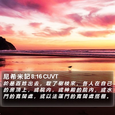尼 希 米 記 8:16 CUVT Bible Verse Image