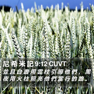 尼 希 米 記 9:12 CUVT Bible Verse Image