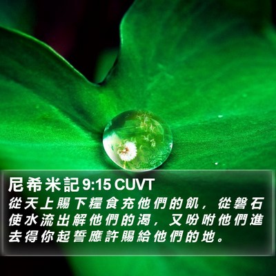 尼 希 米 記 9:15 CUVT Bible Verse Image