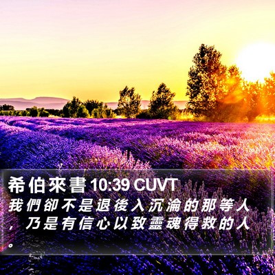 希 伯 來 書 10:39 CUVT Bible Verse Image