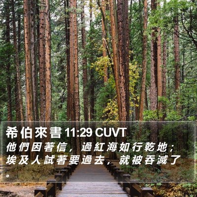 希 伯 來 書 11:29 CUVT Bible Verse Image