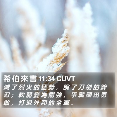 希 伯 來 書 11:34 CUVT Bible Verse Image