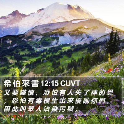 希 伯 來 書 12:15 CUVT Bible Verse Image