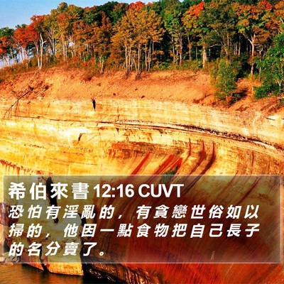 希 伯 來 書 12:16 CUVT Bible Verse Image