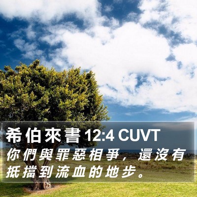 希 伯 來 書 12:4 CUVT Bible Verse Image
