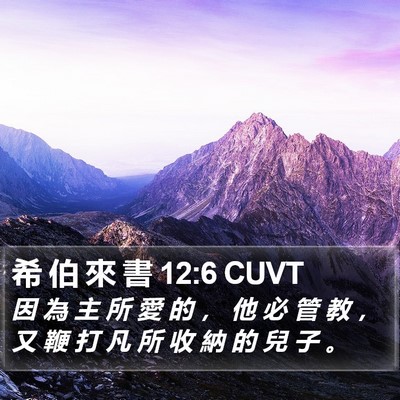 希 伯 來 書 12:6 CUVT Bible Verse Image