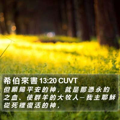 希 伯 來 書 13:20 CUVT Bible Verse Image