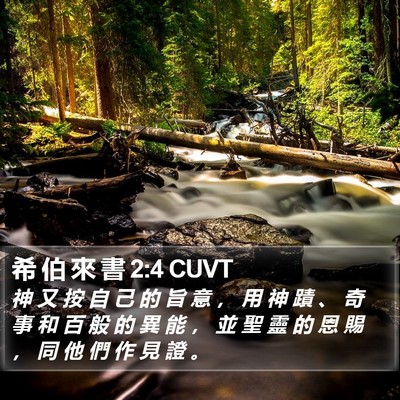 希 伯 來 書 2:4 CUVT Bible Verse Image