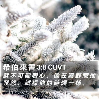 希 伯 來 書 3:8 CUVT Bible Verse Image