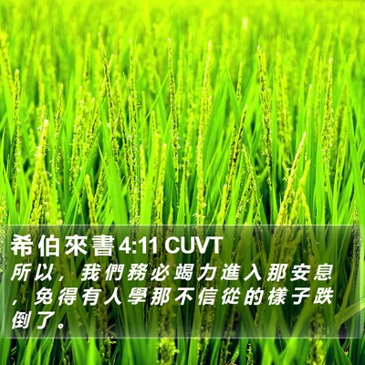 希 伯 來 書 4:11 CUVT Bible Verse Image