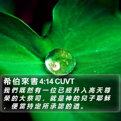 希 伯 來 書 4:14 CUVT Bible Verse Image