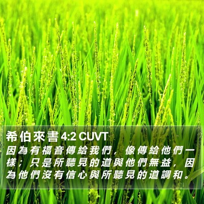 希 伯 來 書 4:2 CUVT Bible Verse Image