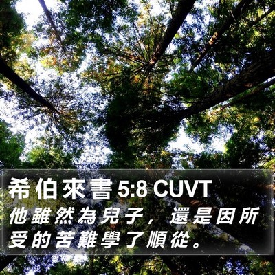 希 伯 來 書 5:8 CUVT Bible Verse Image