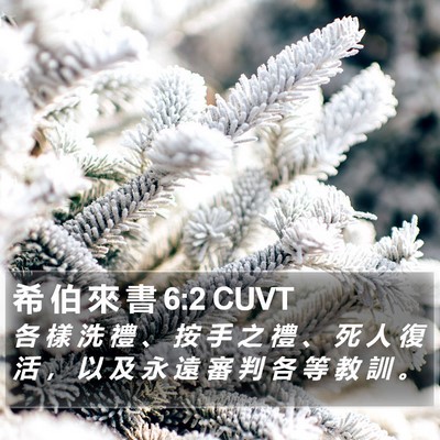 希 伯 來 書 6:2 CUVT Bible Verse Image