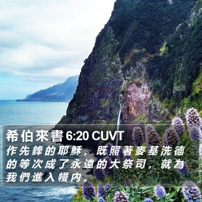 希 伯 來 書 6:20 CUVT Bible Verse Image