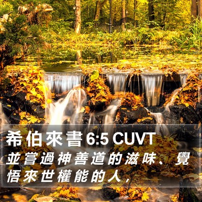 希 伯 來 書 6:5 CUVT Bible Verse Image