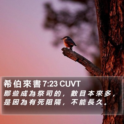 希 伯 來 書 7:23 CUVT Bible Verse Image